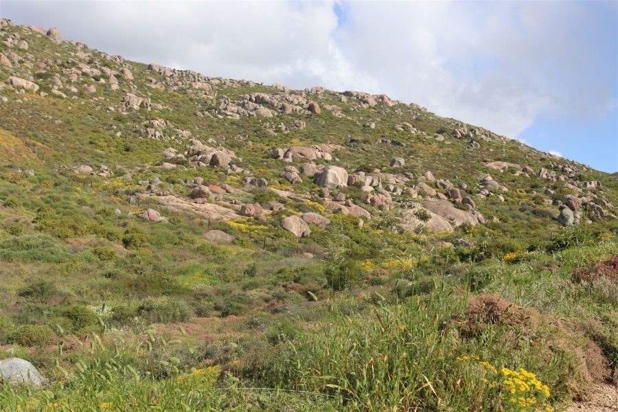 0 Bedroom Property for Sale in St Helena Views Western Cape